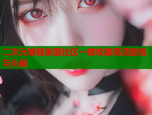 二次元堆糖美图社区一键收藏高清壁纸与头像  第1张